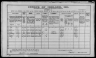 1911 Census John Lucy