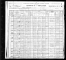 1900 Census Richard Watkins