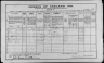 1911 Census Nellie Lucy