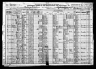 1920 Census Sylvester S Dunagan