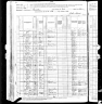 1880 Census Peter Watkins
