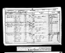 V:/Brother’s Keeper 7/Media/1851 Census Joesph Gibbs.jpg
