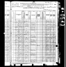 1880 Census William Austin